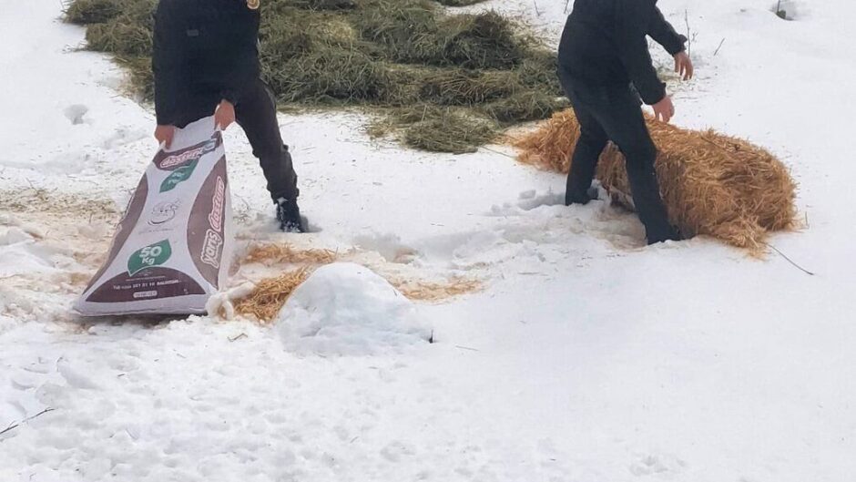 Akyazı’da Kış Rehberi: Hava, Yaşam ve Püf Noktaları [2026] - Kapak Görseli